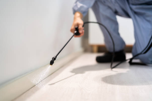 Certified termite inspector examining foundation in Kenneth City